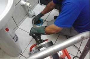 توله بازکنی نیاوران